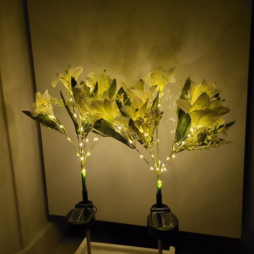 Pack yellow solar lily - yellow,