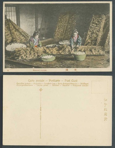 Japan old hand tinted - japan, postcard