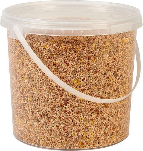 Premium budgie food seed - budgie,