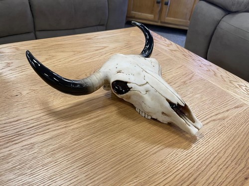 30cm ram bull - ram, goat