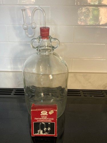 Vintage demijohn bottle home - vintage,