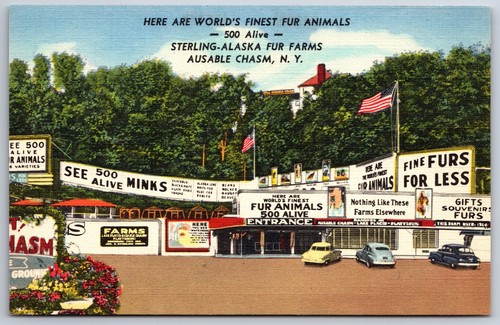 Ausable chasm new - ausable,