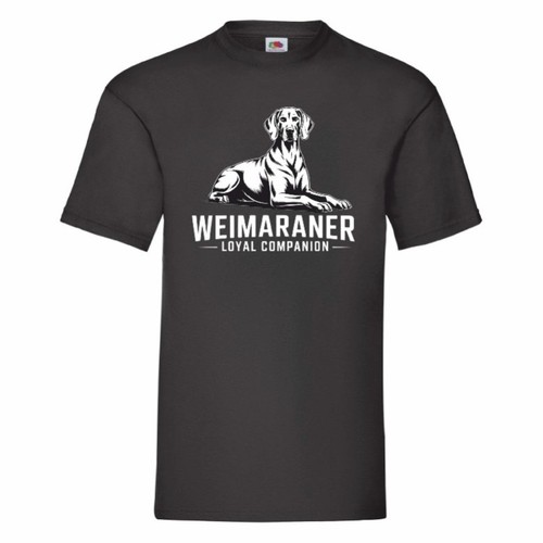 Weimaraner loyal companion - weimaraner,