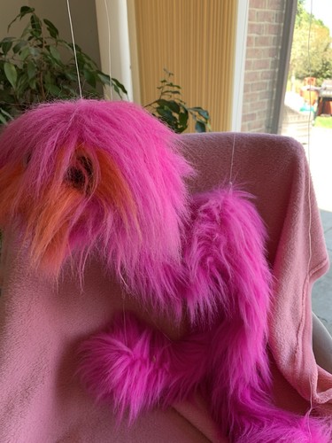 Vintage fluffy emu big bird - emu,