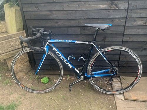 Focus izalco team small - focus,