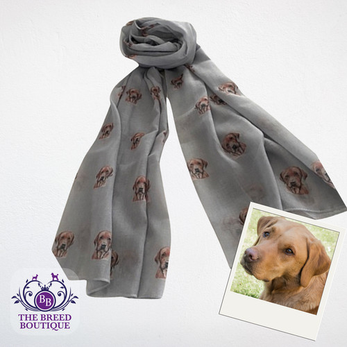Fox red labrador dog - red,