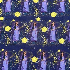 Wish Disney Princess Character