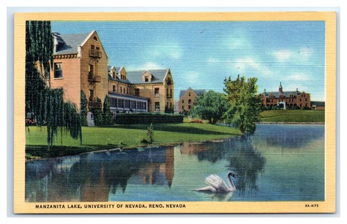 Reno postcard manzanita - postcard-,