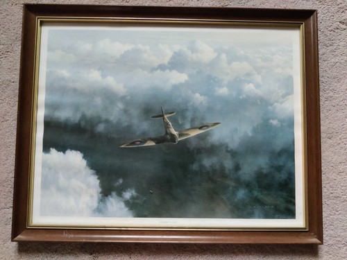 Gerald coulson evening flight - gerald,