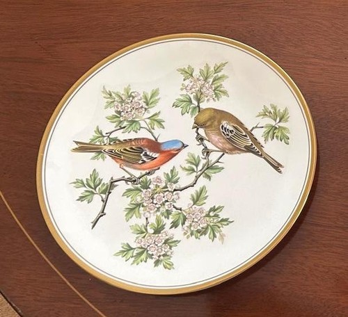 Plates spode and - 3, x