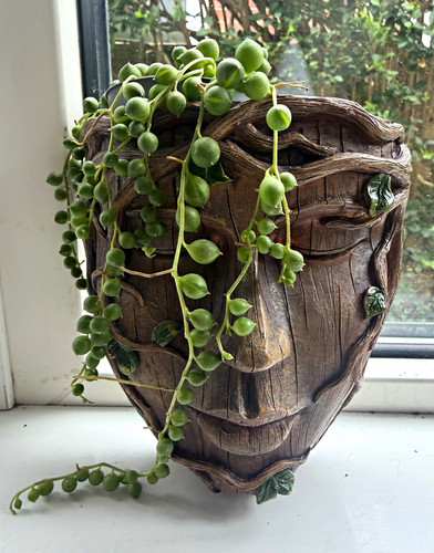 Wood effect man resin - wood,
