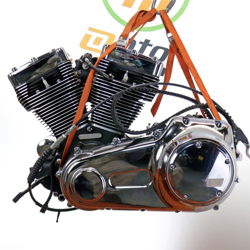2009 harley davidson - harley-davidson, boy