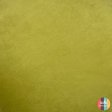 Plush Velvet Upholstery Fabric