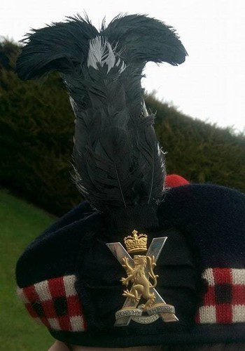 Black cock hackle royal - black,