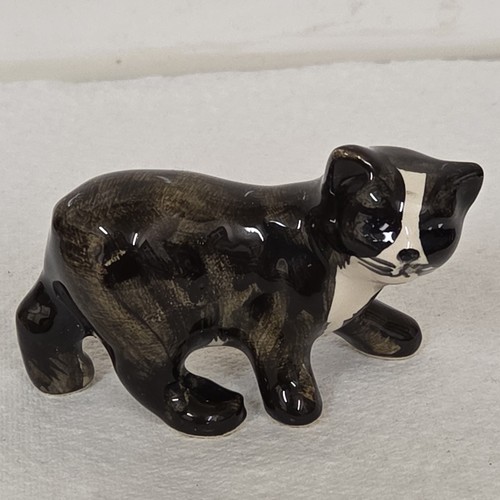 Vintage small manx cat - vintage, studio