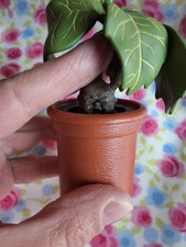 Harry Potter Screaming