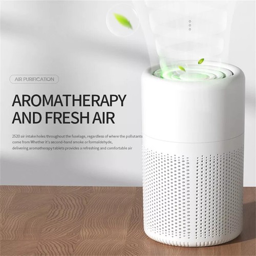 Home air purifiers for large - for,