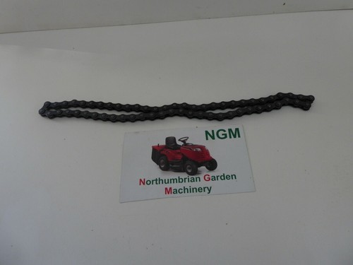 Billy goat chain 58 - goat,