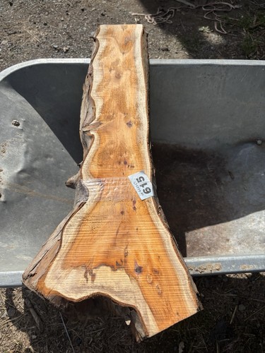 Yew plank wood - yew,