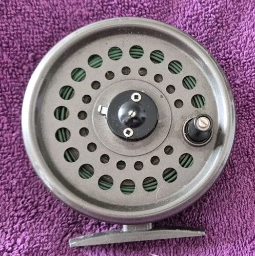 Superb intrepid rimfly king - superb,