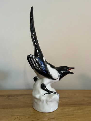 Large lomonosov magpie - ,