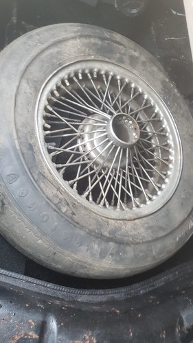 Triumph stag wire wheel - triumph,