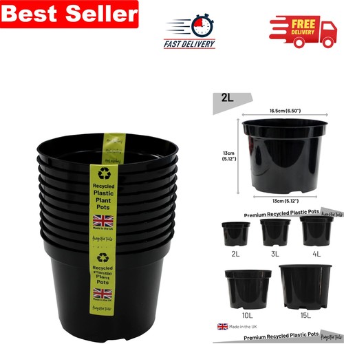 Pack eco friendly 2l - of, 10