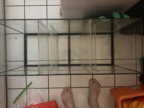 Aquarium marine sump - marine, fish