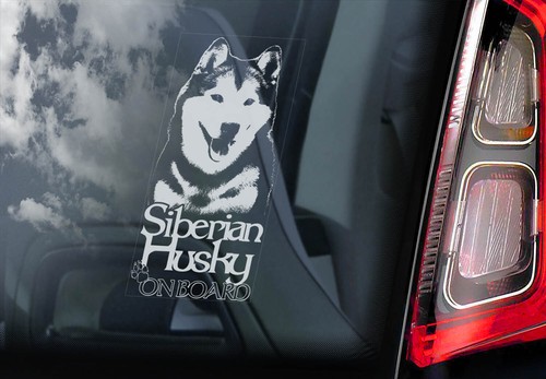 Siberian husky car sticker - siberian,