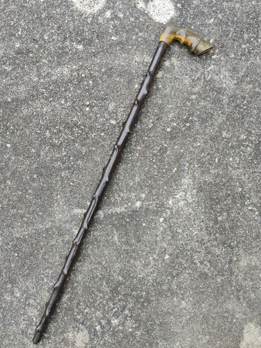 Antique equestrian horse - equestrian,