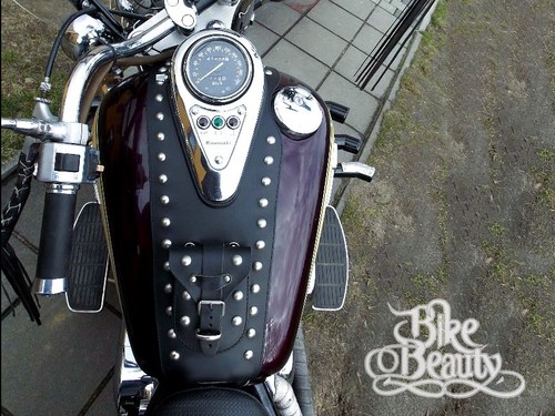 Kawasaki vulcan 800 500 - vulcan,