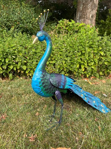 Tail down decorative - tail,