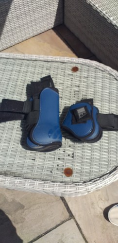 Pro tendon boots and back - boots,