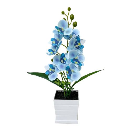 Faux phalaenopsis orchid - phalaenopsis,