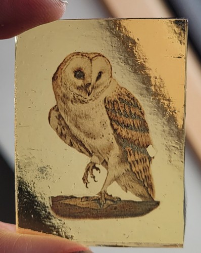 Stained glass owl bird birds - bird,