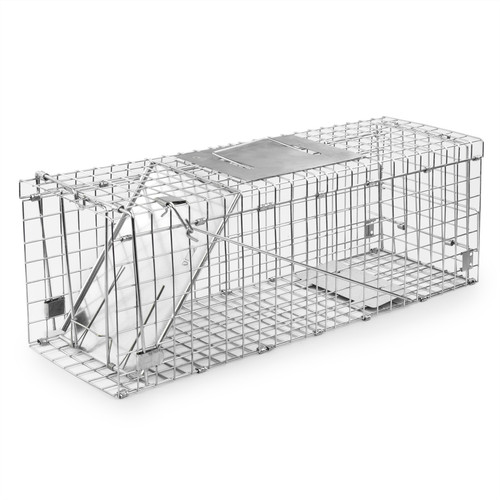 Squirrel trap humane - no, kill