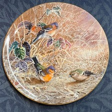 Coalport "Frosty Mornings"