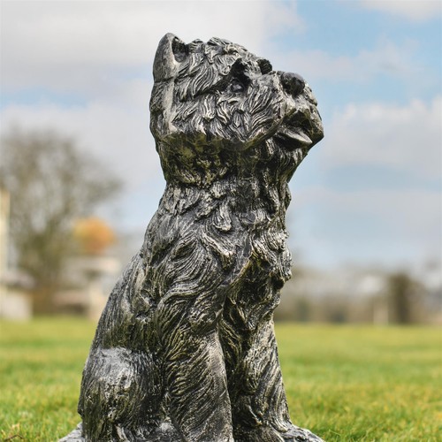 Yorkshire terrier dog - terrier,
