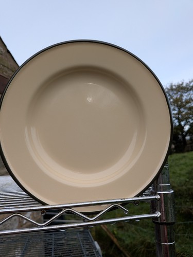 Yellow enamel dinner plates - yellow,