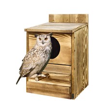 Large Wooden Bird House Owl