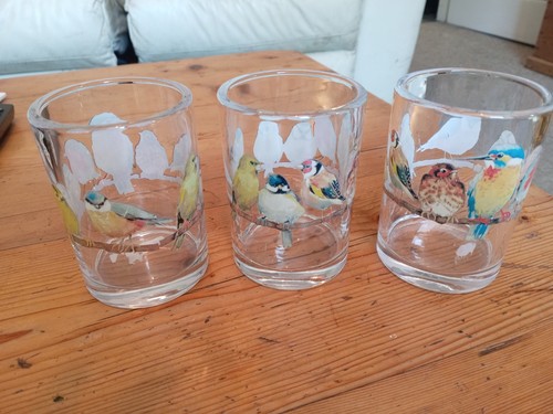 Laura ashley garden - ashley, birds