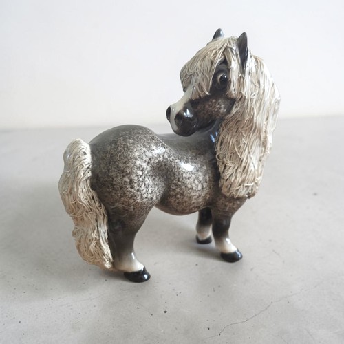 Rare vintage nguni - rare,