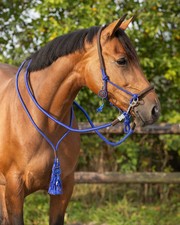 QHP LIBERTY ROPE HALTER COMBI