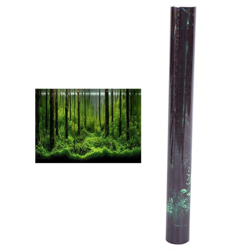 Aquarium poster wall - aquarium,