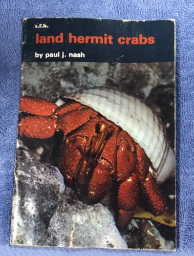 Land hermit crabs paul - crabs, j