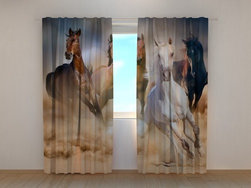 Photo curtain herd horses - photo,