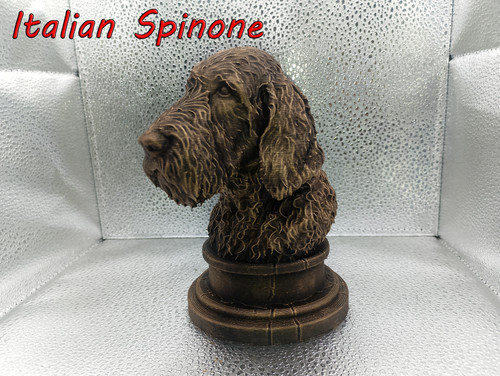 Italian spinone bust - italian,