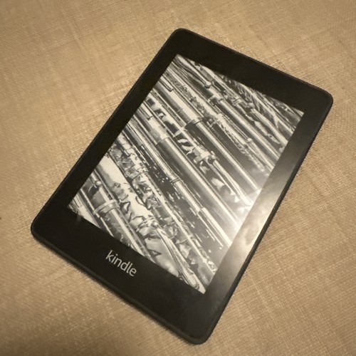 Amazon kindle paperwhite - paperwhite, (10th