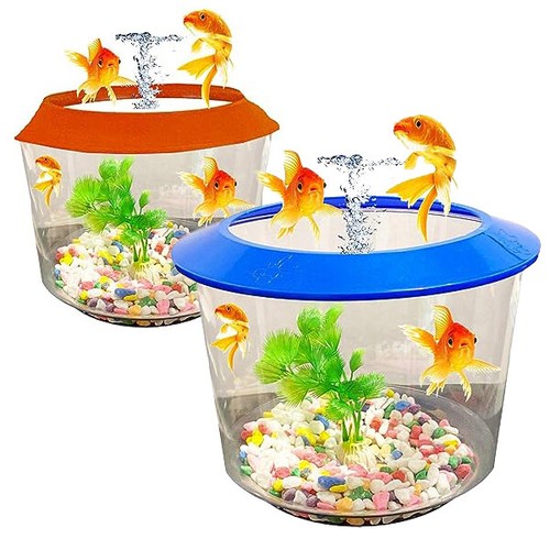 Goldfish small fish bowl - goldfish,