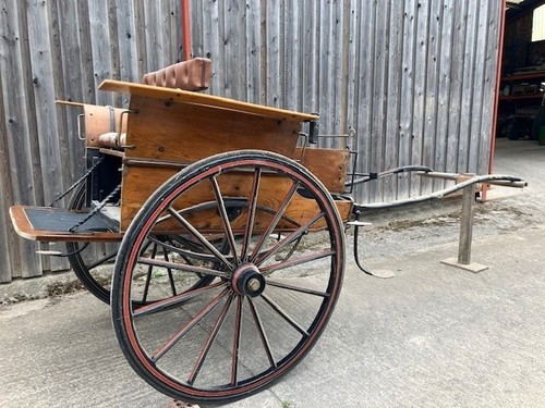 Victorian 19th century pony - 19th,